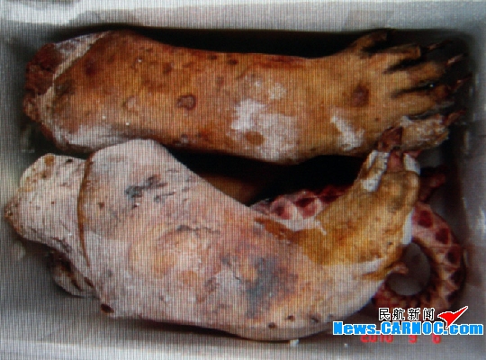 昆明机场安检查获国家保护动物黑熊、穿山甲