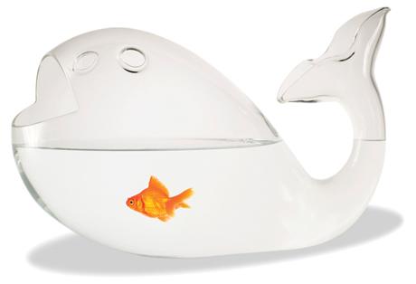 2010年梦想礼物:妙趣鱼缸(图)