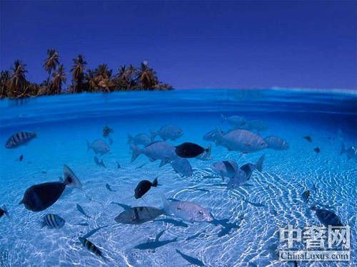 ���ں�Ͽ ����Ǳˮ����ʹ֮��