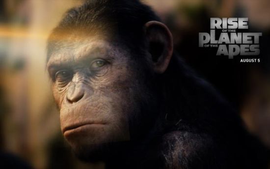 《猿族崛起》:黑猩猩的政治
