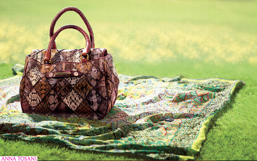 早春的抢购亮点