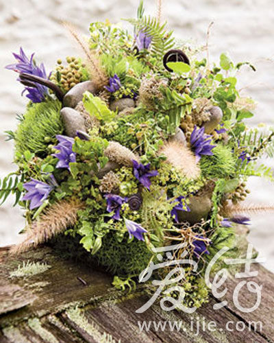 �������������