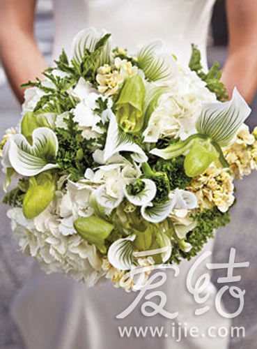 Բ��������