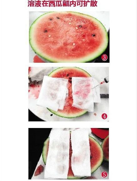 溶液在西瓜瓤内可扩散