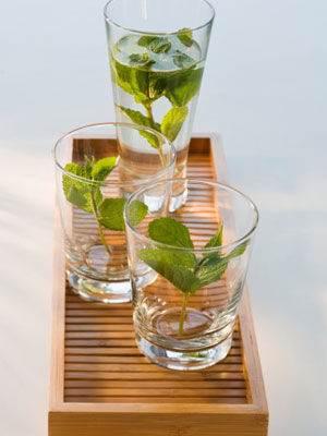 薄荷快速减肥食谱