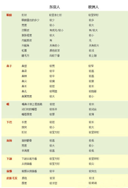 东亚和欧洲人种30项面部特征差异