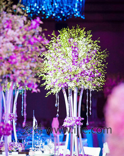 李小璐贾乃亮婚礼摄影师专访①:真情流露才有