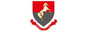 HEJING CAVALRY CLUB