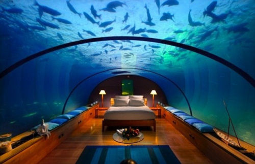 这家位于马尔代夫的海底酒店，避难者或许能与与海洋的零距离接触。