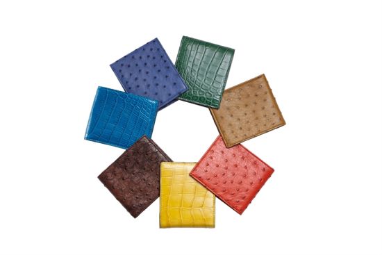 Gucci Wallet collection_ exotic leather wallet_01