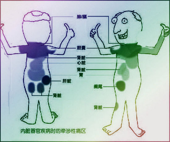 内脏器官对应疼痛图走红 被封自诊宝典