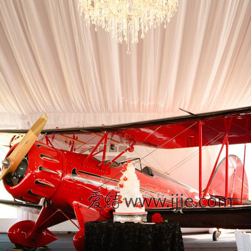 创意主题婚礼:飞机飞到婚礼中(2)