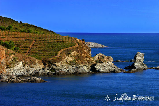 法国南部朗格多克-鲁西荣大区在中国
