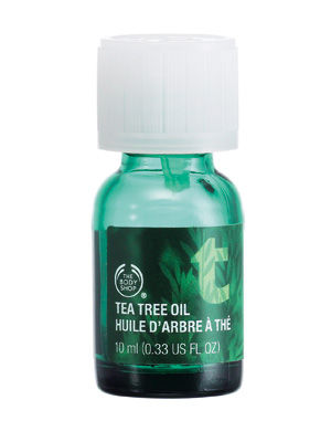 ȫλ޻ Tea Tree Oil 