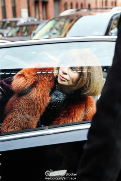 ŮħͷAnna Wintour