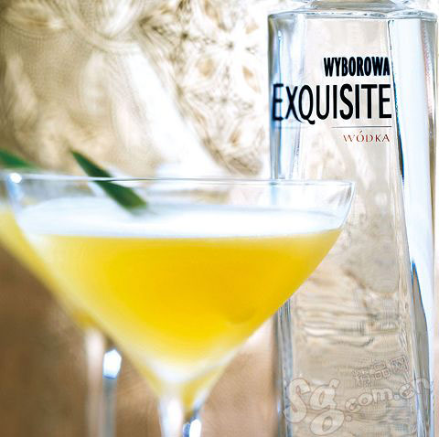 伏特加 冰雪般的外表与烈火般的味觉(组图)_新浪尚品_新浪网