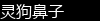 �鹷����