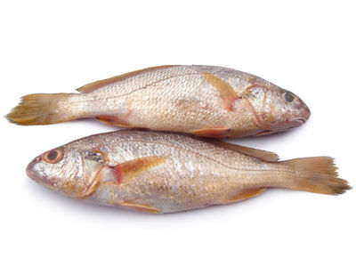 我们吃的鱼有污染吗 你可能每天都吃的风险食物