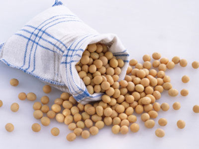 黄豆易导致精子数量减少