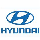 �����ִ�