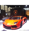 ��������LP700-4�Ϻ���չ���׷�������۰ĳ�չ��Ԥ��33���ˡ�