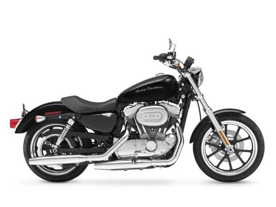 ״άɭSportster 883