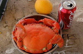 �Լ��ΰ��� ץ���з��з��