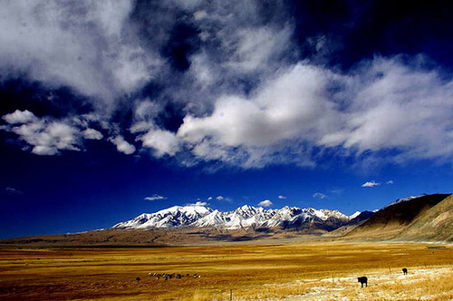 挑战西疆极地威志车队翻越帕米尔高原图
