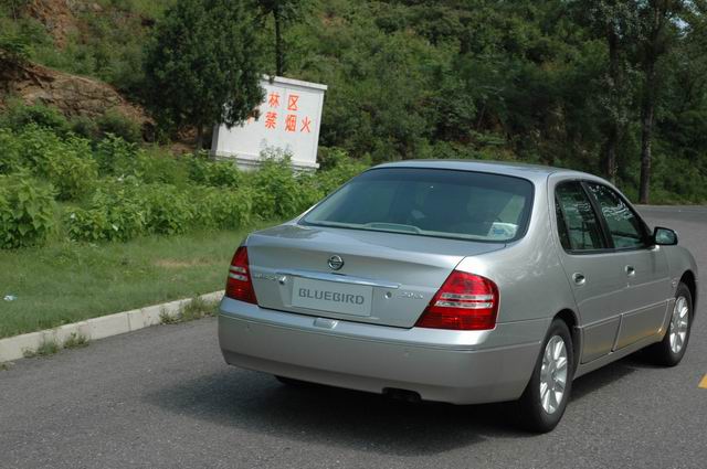 �Լ���������