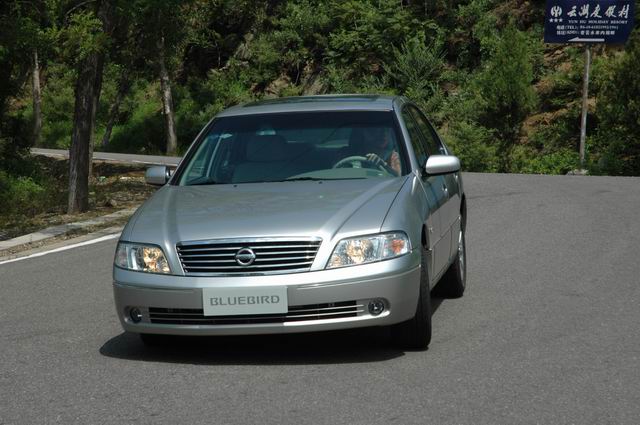 �Լ���������