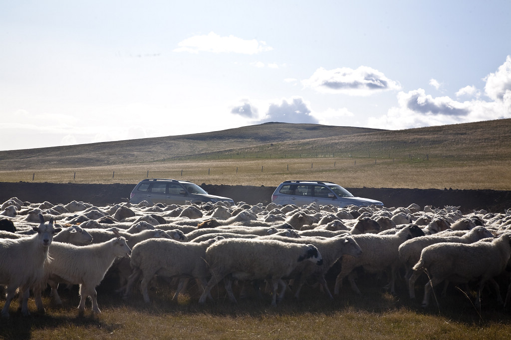 ���ɲ�ԭ·�����л���