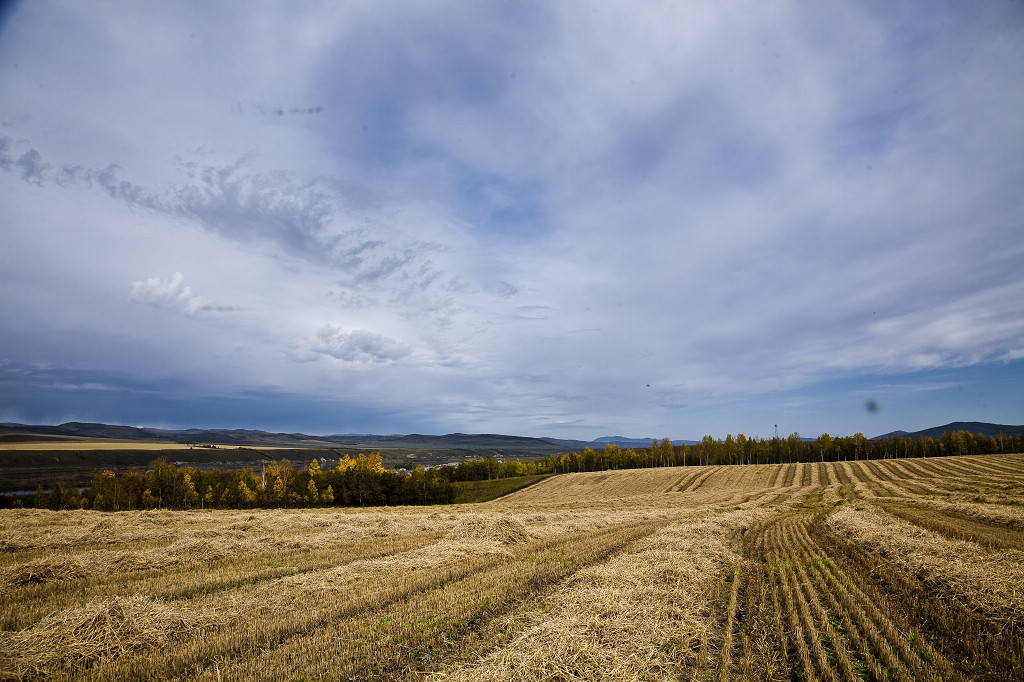 ���ɲ�ԭ·�����л���