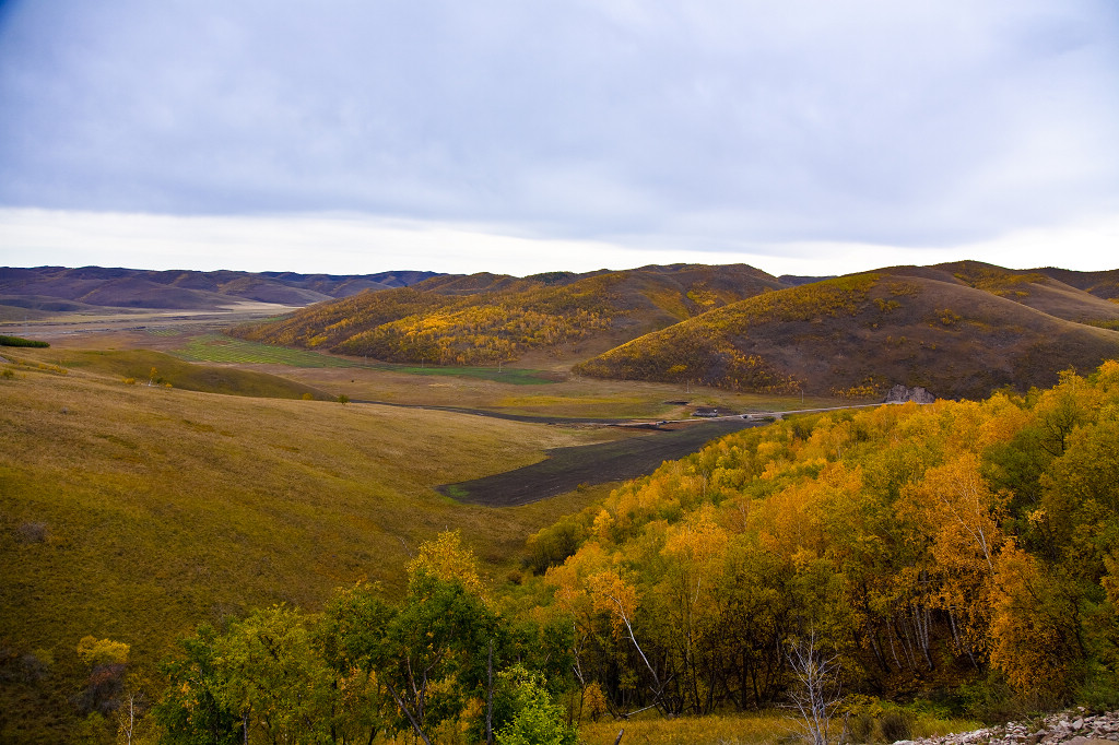 ���ɲ�ԭ·�����л���