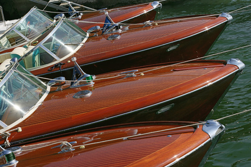 ���������--����ѩ����