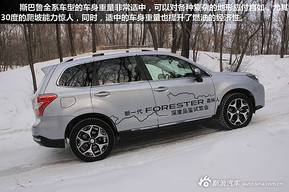 ������܇��ѩ�w�ȫ��˹����ɭ����