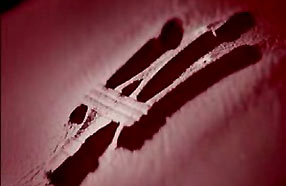 ��Ƶ���¿���ɯ����GranTurismo��ɫ����