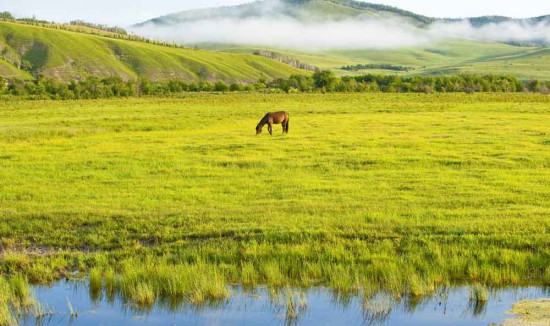 穿越内蒙古 车轮上的夏天(组图)(2)