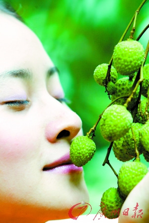 成熟时节采摘忙 阳光五月闻果香(组图)