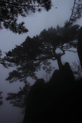 千万别丢掉那张世博门票 各地景区打折