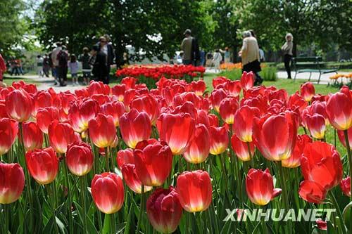 ��ʿ���ɺ���С��Ī����ӭ�������ο�����������
