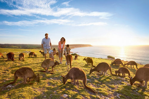 澳大利亚推出全新旅游品牌:澳大利亚 尽是不同