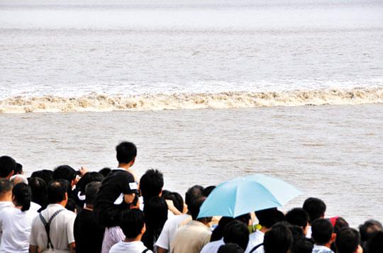 上万游客纷纷赶往浙江海宁的“盐官镇”观潮景区，观看一年一度的钱塘江大潮的宏大景观 (冯军 东方IC)