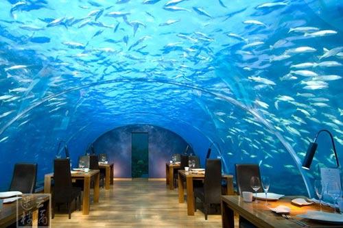 马尔代夫群岛的海洋餐厅