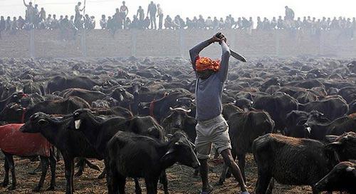 银首饰和廓尔喀弯刀