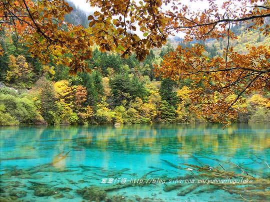 四川成都九寨沟沟内旅游攻略生产供应商:供应