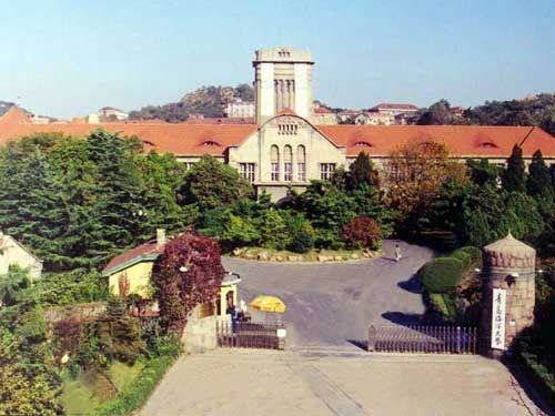 ���u�����W