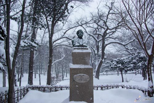 Hokkaido University