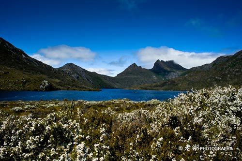 Cradle Mountain