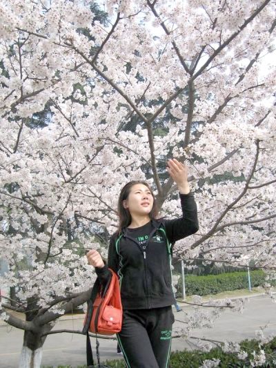 武汉大学的樱花总让人陶醉