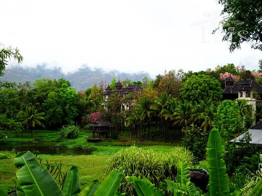 丛林环绕的栋栋小屋